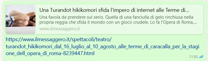 Il Messaggero: Turandot e Hikikomori